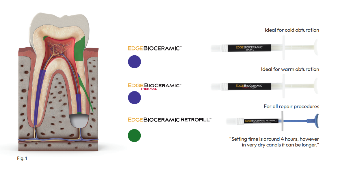 Snímek obrazovky 2025-09-10 085451